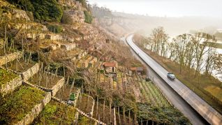 Die Auswirkungen des Strukturwandels sind längst sichtbar: Die Steillagen am Neckar werden teilweise nicht mehr beackert.