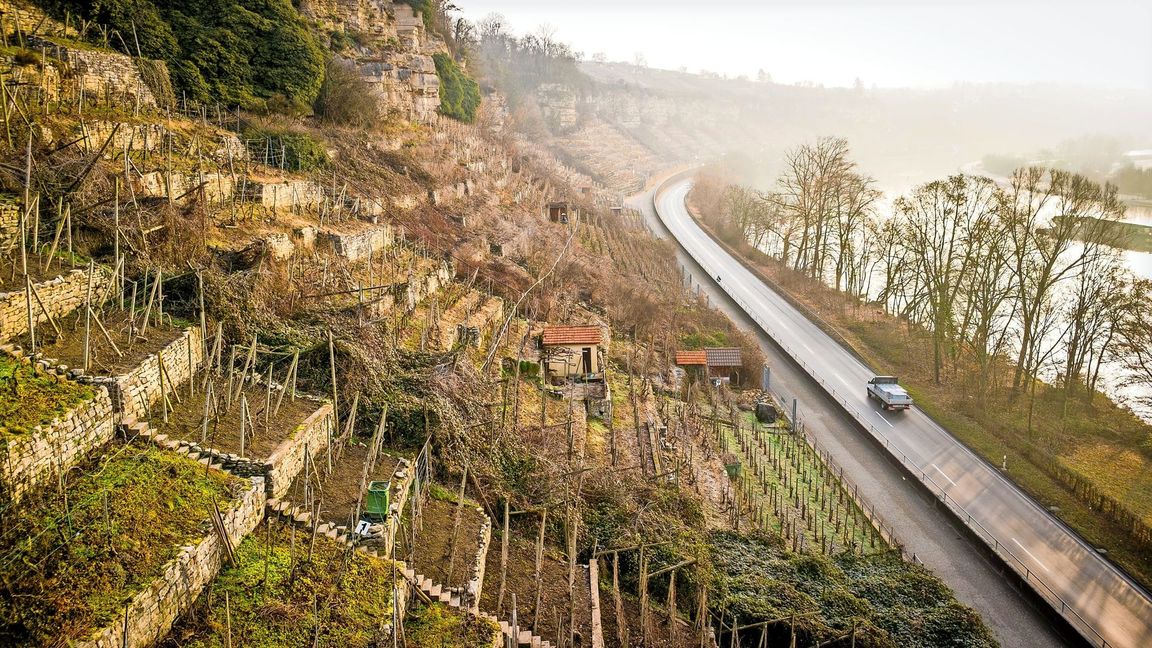 Die Auswirkungen des Strukturwandels sind längst sichtbar: Die Steillagen am Neckar werden teilweise nicht mehr beackert.