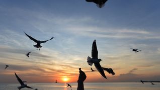 Sonnige Reiseziele sind laut Dertour besonders gefragt. (Archivbild)