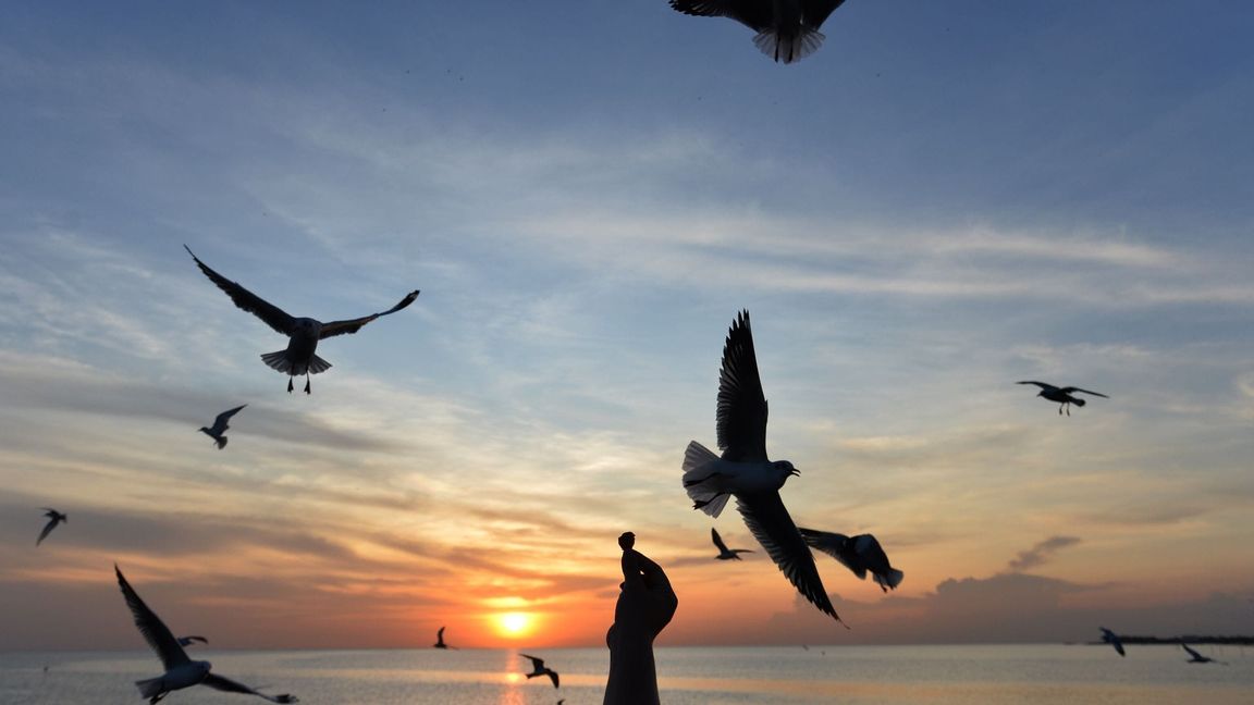 Sonnige Reiseziele sind laut Dertour besonders gefragt. (Archivbild)