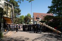 Kaiserwetter und Jubiläumsbier: So war das Maibaumstellen der Feuerwehr beim Maichinger Bürgerhaus.