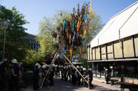 Kaiserwetter und Jubiläumsbier: So war das Maibaumstellen der Feuerwehr beim Maichinger Bürgerhaus.