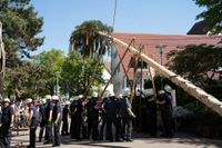 Kaiserwetter und Jubiläumsbier: So war das Maibaumstellen der Feuerwehr beim Maichinger Bürgerhaus.