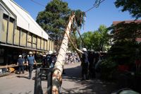 Kaiserwetter und Jubiläumsbier: So war das Maibaumstellen der Feuerwehr beim Maichinger Bürgerhaus.