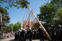 Kaiserwetter und Jubiläumsbier: So war das Maibaumstellen der Feuerwehr beim Maichinger Bürgerhaus.