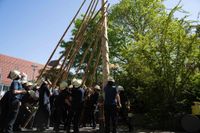 Kaiserwetter und Jubiläumsbier: So war das Maibaumstellen der Feuerwehr beim Maichinger Bürgerhaus.