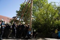 Kaiserwetter und Jubiläumsbier: So war das Maibaumstellen der Feuerwehr beim Maichinger Bürgerhaus.