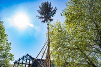 Kaiserwetter und Jubiläumsbier: So war das Maibaumstellen der Feuerwehr beim Maichinger Bürgerhaus.