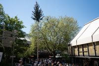Kaiserwetter und Jubiläumsbier: So war das Maibaumstellen der Feuerwehr beim Maichinger Bürgerhaus.