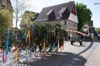 Kaiserwetter und Jubiläumsbier: So war das Maibaumstellen der Feuerwehr beim Maichinger Bürgerhaus.