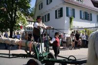 Kaiserwetter und Jubiläumsbier: So war das Maibaumstellen der Feuerwehr beim Maichinger Bürgerhaus.
