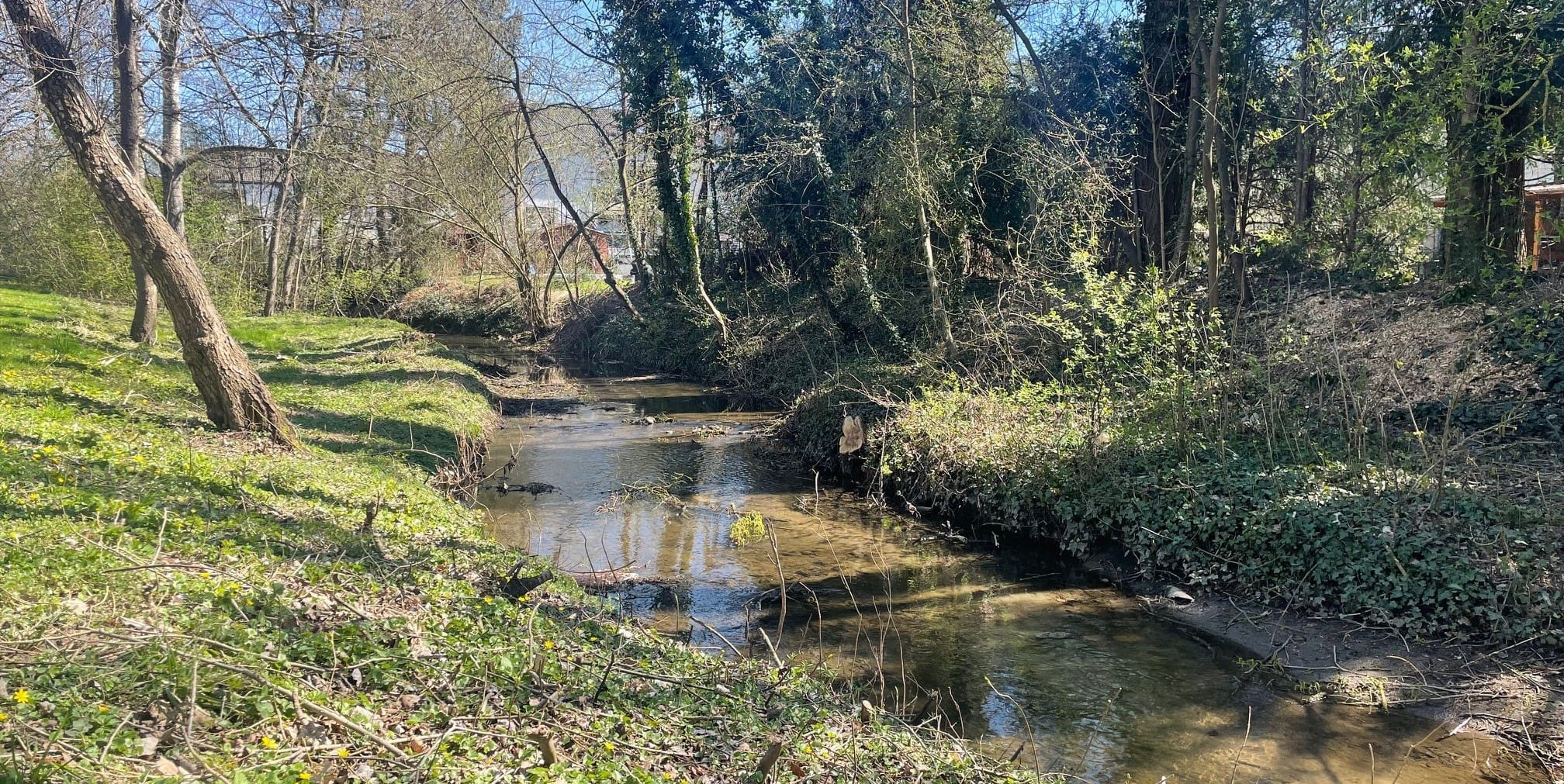 Sieht so harmlos aus, aber der Frühling kann ganz schön nerven.