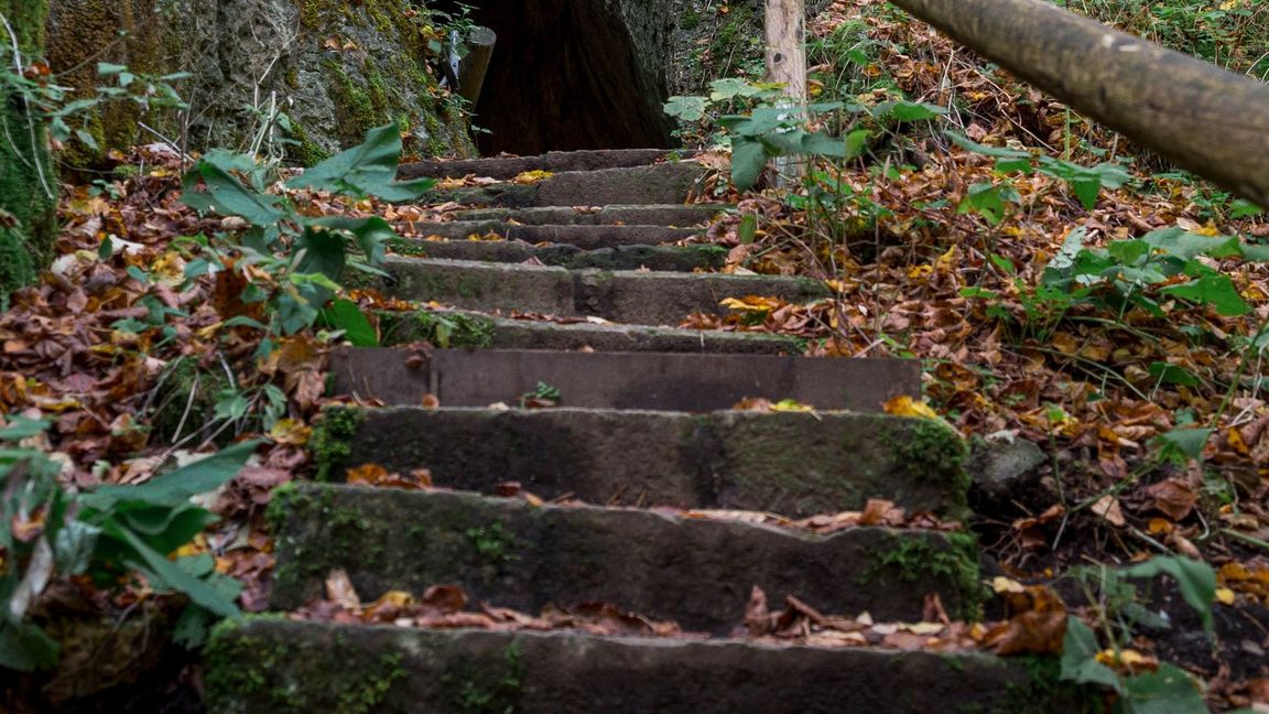 Höhlen sollten im Herbst und Winter nicht betreten werden, um Fledermäuse nicht zu stören. (Archivbild)