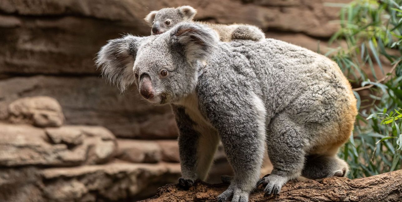 Auburn und ihre Tochter.