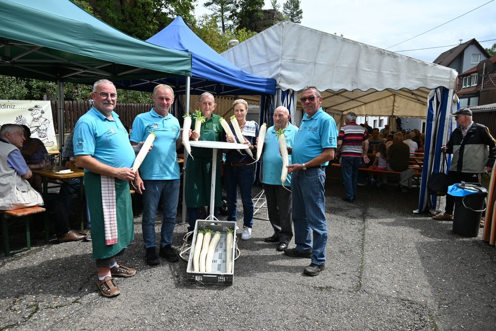 Beim Rettichfest am Sonntag (von links): Rainer Löffler, Elmar Sautter, Helmut Schlecht, Uschi Rebmann, Vincenco Mangiameli und Rudi König kümmern sich um die Rettiche und ihre Verarbeitung.   Bild: Nüßle