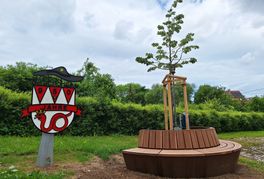 Der Dagersheimer Jubiläumsbaum mit Bank und Logo.