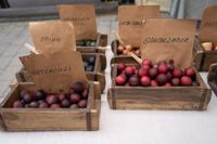 Kaiserwetter und Besucherströme beim Ehninger Pfingstmarkt