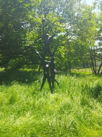 Frühling im Dronfield-Park.