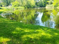 Frühling im Dronfield-Park.