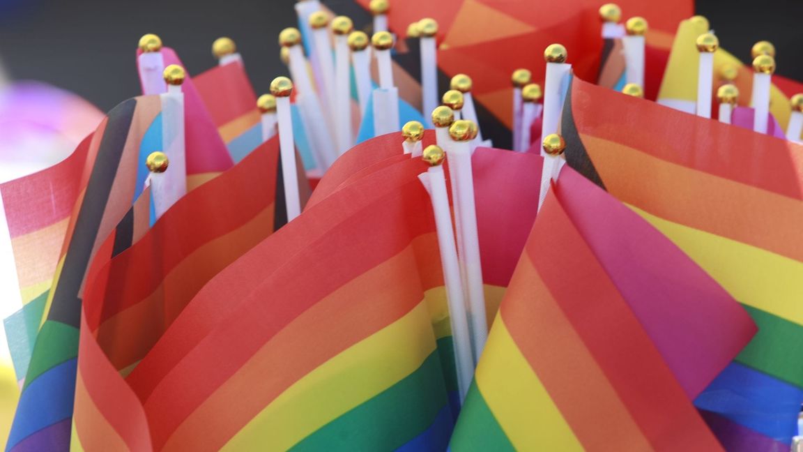 Regenbogenfahnen - Symbol der Community - auf einem Christopher Street Day. (Archivbild)