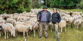 Nina und Philip Häberle pflegen mit ihrer Schafherde das Naturschutzgebiet auf dem Venusberg bei Aidlingen.