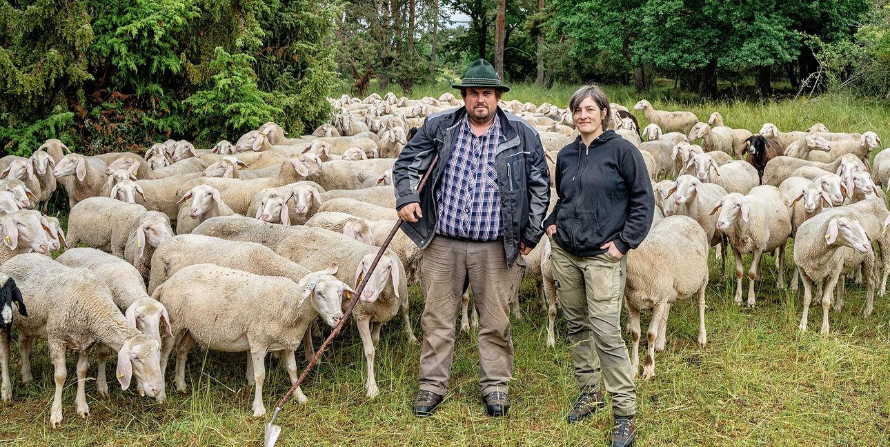 Nina und Philip Häberle pflegen mit ihrer Schafherde das Naturschutzgebiet auf dem Venusberg bei Aidlingen.