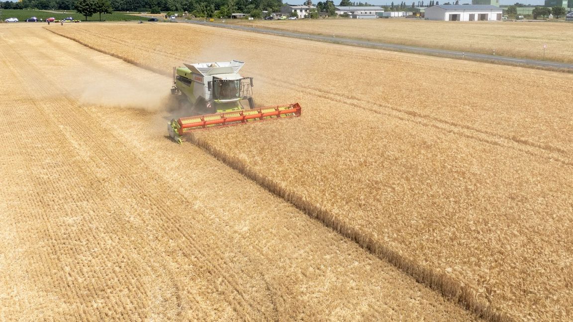 Die Landwirte hoffen nach einem trockenen Frühjahr auf eine durchschnittliche Ernte. (Archivbild)