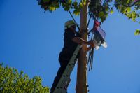 Hocketse unterm Maibaum beim Maichinger Bürgerhaus
