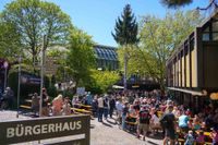 Hocketse unterm Maibaum beim Maichinger Bürgerhaus