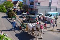 Hocketse unterm Maibaum beim Maichinger Bürgerhaus