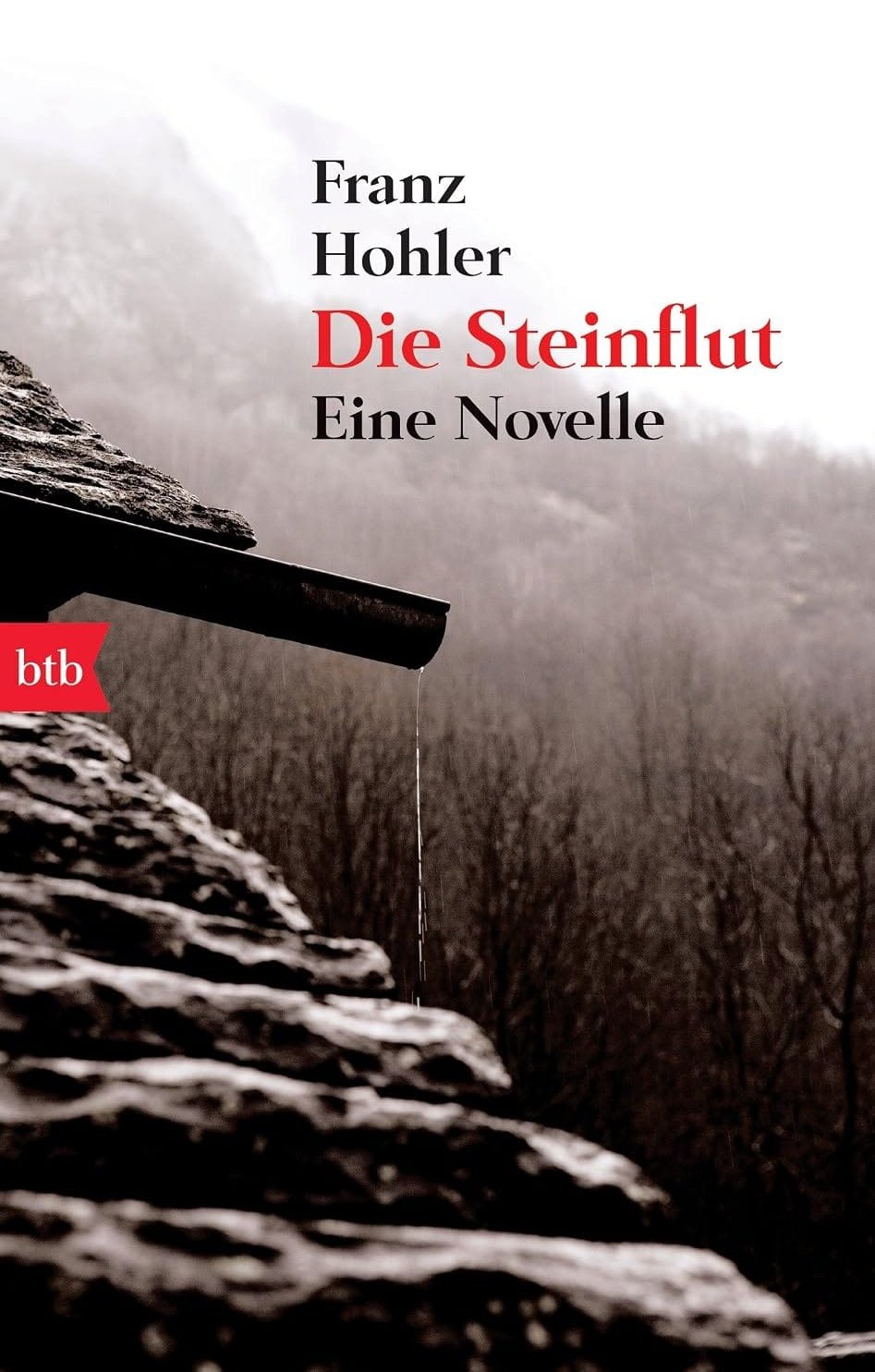 Franz Hohler: Die Steinflut