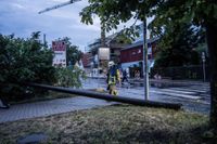 Feuerwehr und Stadtwerke im Einsatz in Maichingen.