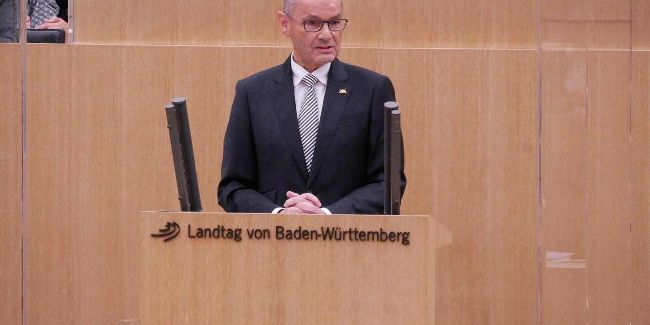 Hans-Dieter Scheerer im baden-württembergischen Landtag. Bild: z