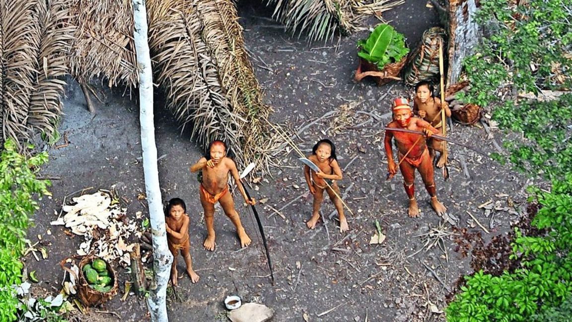 Dieses Foto zeigt fünf Mitglieder einer unkontaktierten indigenen Gruppe, die im Jahr 2008 im brasilianischen Amazonas-Gebiet von einem Flugzeug aufgenommen wurde.