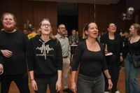 Die Karaoke-Night vom Gesangsverein war ein voller Erfolg. Bis in die Nacht hinein ging es in der Stadthalle Holzgerlingen gesanglich hoch her.