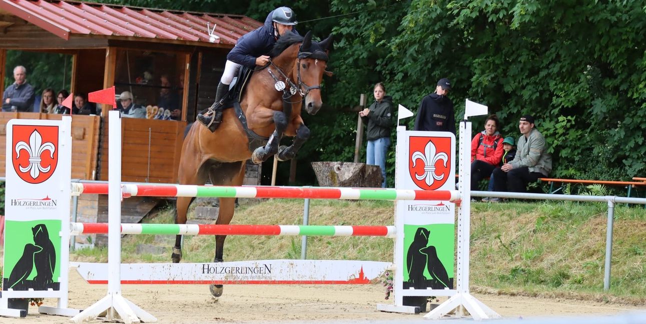 Julian Stahl mit Lucianda Princess im Holzgerlinger Springparcours.
