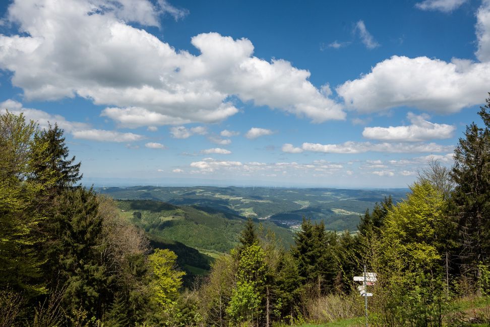 Der Blick reicht weit in die Ebene hinein.