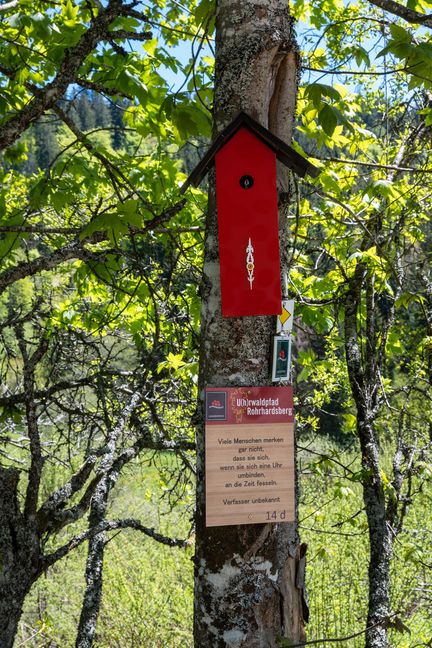 Bilder: Nüßle