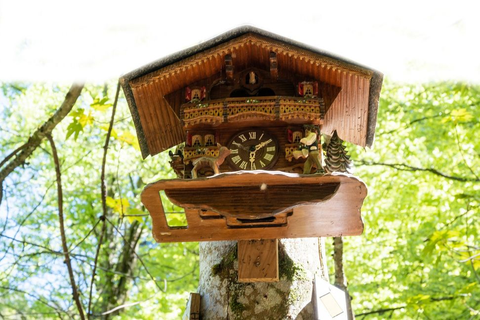 Von klassisch bis modern, die Kuckucksuhren auf dem U(h)rwaldpfad könnten nicht unterschiedlicher sein.
