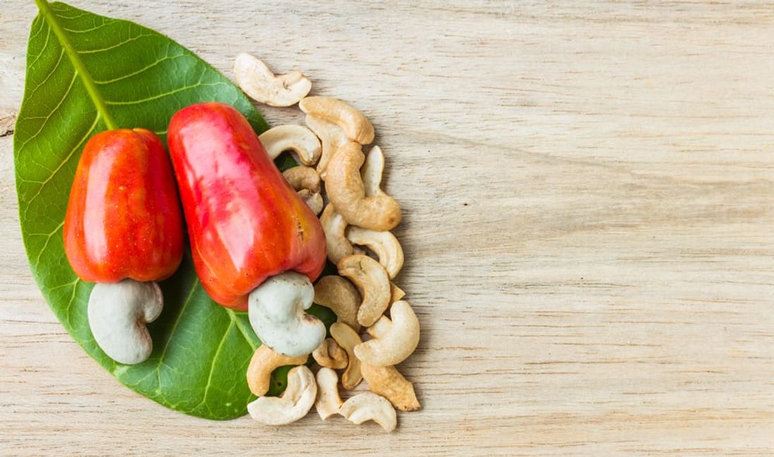Cashewkerne wachsen, in einer Schale, am Ende der Cashewäpfel.