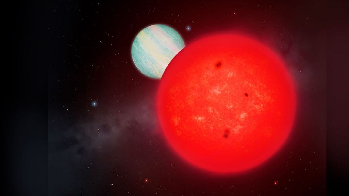 Der neuentdeckte Gasriese TOI-6894b umkreist einen kleinen, massearmen Roten Zwergstern.
