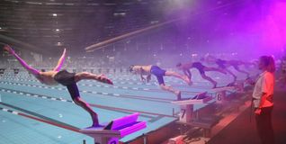 Hochklassiger Schwimmsport und mitreißende Atmosphäre sind beim ISSC garantiert.