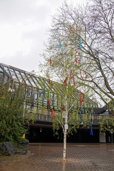 Das Maichinger Maibäumle. Bild: Dettenmeyer