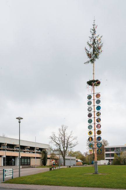 Der Ehninger Maibaum. Bild: Nüßle