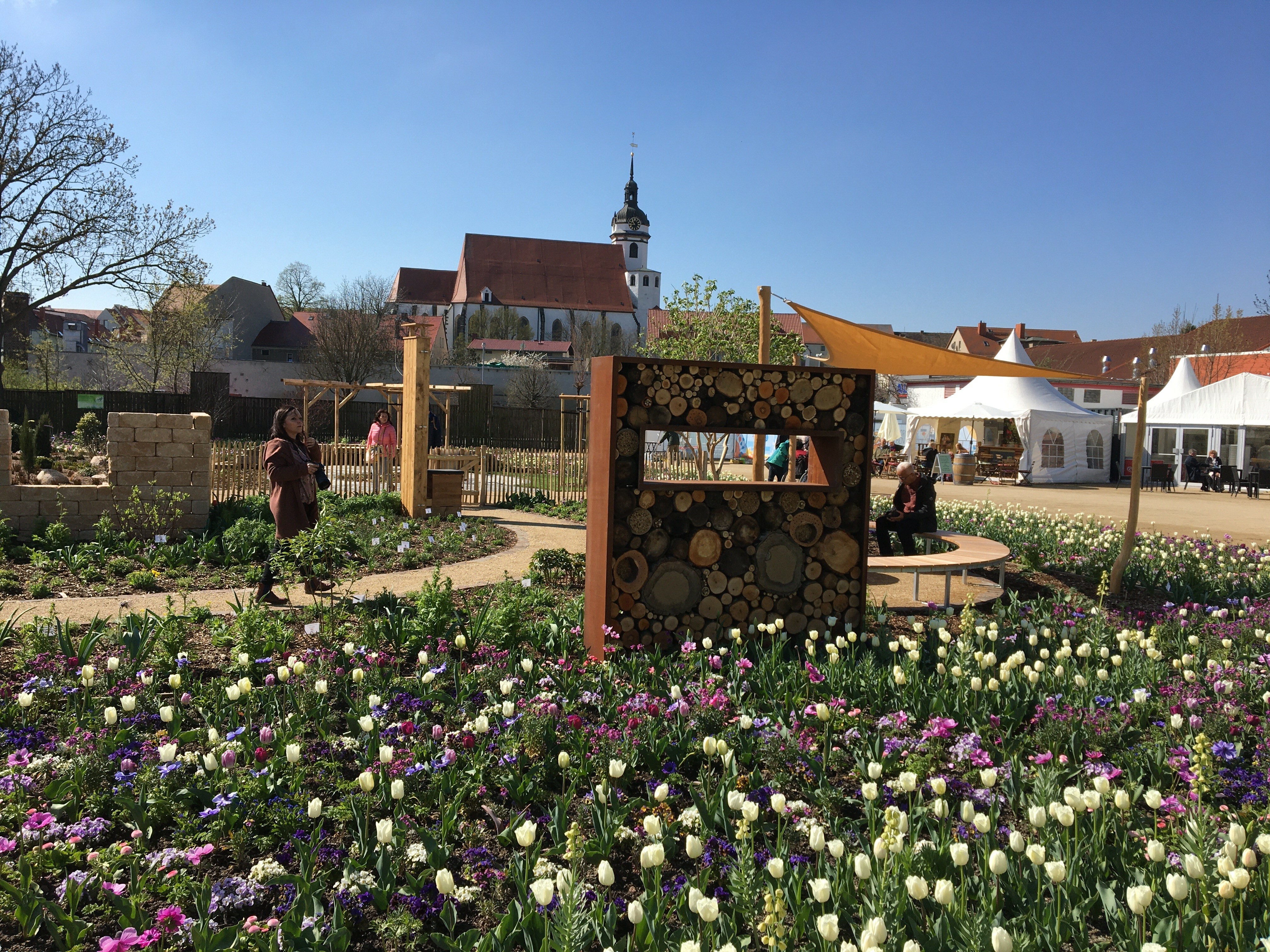 Landesgartenschau in Torgau: Tulpen vor der Kulisse von Schloß Hartenfels.  Bilder: Bausch