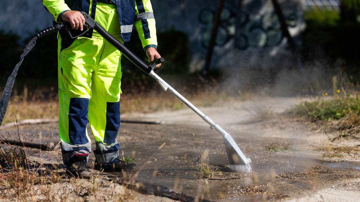 In manchen Kommunen wird heißes Wasser gegen die Ameisen eingesetzt. (Archivbild)