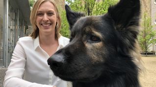 Hundeführerin Sabine Kubinski kniet im Stuttgarter Hospitalhof neben einem Therapiebegleithund. (Archivbild)