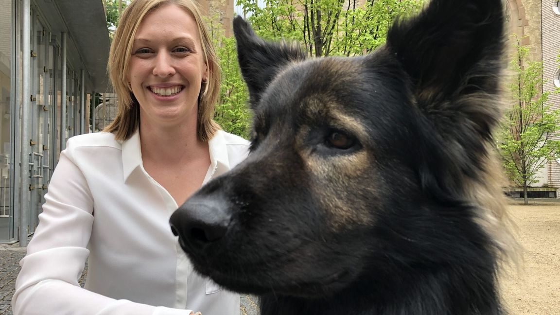 Hundeführerin Sabine Kubinski kniet im Stuttgarter Hospitalhof neben einem Therapiebegleithund. (Archivbild)