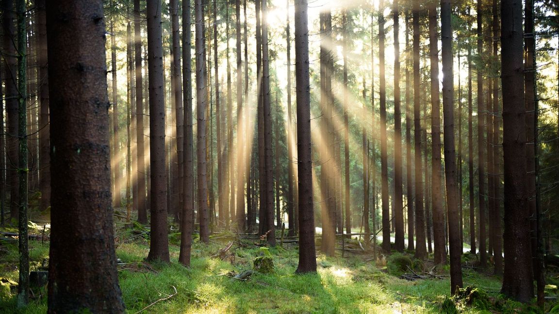 Atom und Gas als grüne Investition? Das EU-Gericht hat über ein EU-Label für nachhaltige Finanzprodukte entschieden. (Symbolbild)