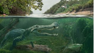 Spätkreidezeitliche Begegnung in den südwestlichen Küstensümpfen der Western Interior Seaway: Links Deinosuchus riograndensis, rechts ein früher Alligatoroide